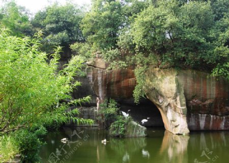 莲花山自然景观图片