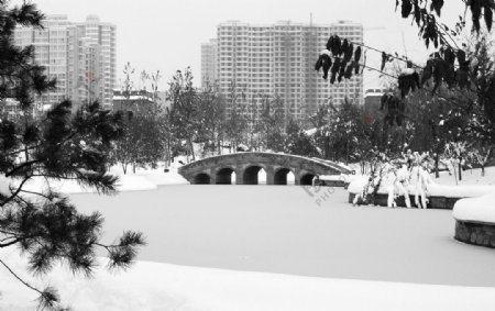 黑白雪景之桥图片