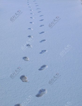 雪地脚印图片