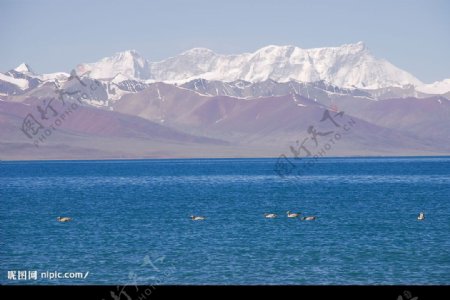 天籁雪山蓝色青海湖图片