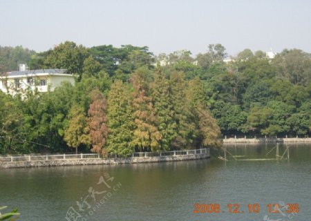 秋湖图片