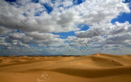 沙漠之风图片
