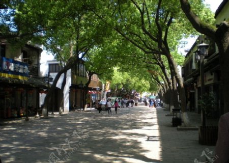 同里镇街景图片
