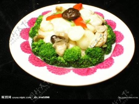 香菇素菜包图片