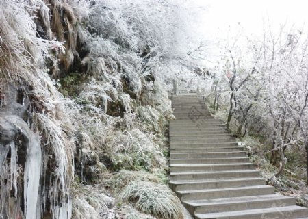 梵净山雪景图片