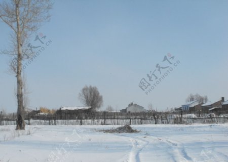 雪中农家院图片