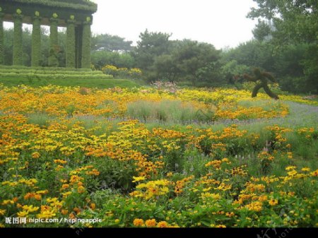 08北京植物园图片