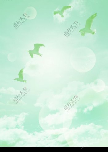 鸟类飞翔图片