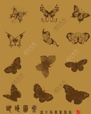 蝴蝶图案图片