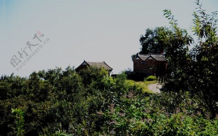 杏花山的小屋图片