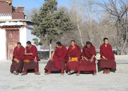 扎什伦布寺的僧人图片
