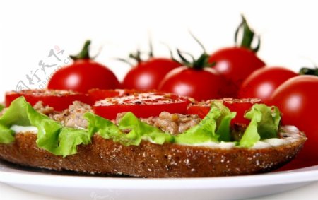 番茄素材餐饮饮食图片