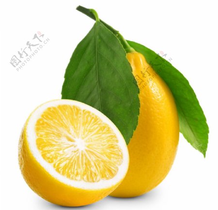 橘子橙子图片