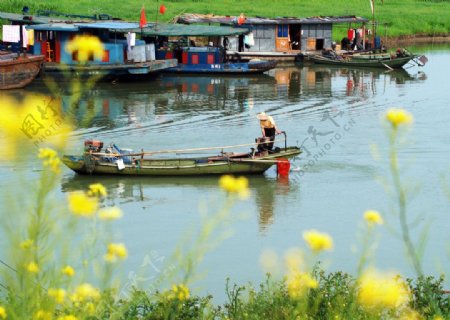 江苏扬州邵伯湖图片