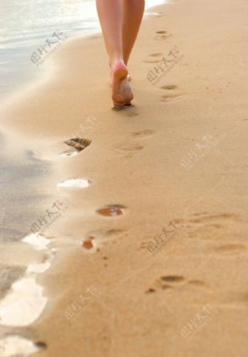 沙滩脚印脚步图片