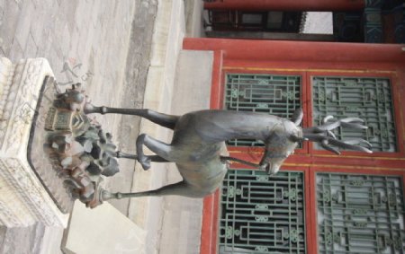 北京故宫铜雕仙鹿图片