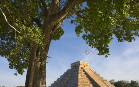 古玛雅金字塔图片