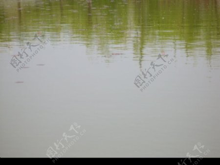 翠湖流影图片