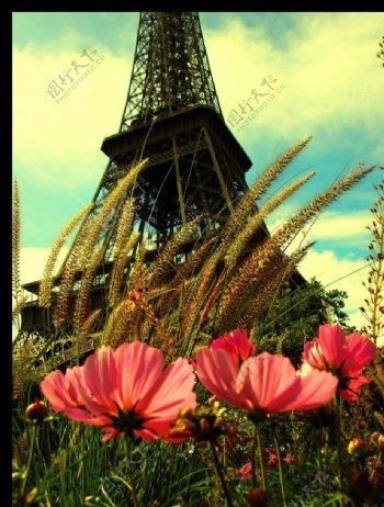 巴黎铁塔鲜花客厅装饰图片