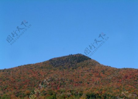 秋日的品尼可山图片