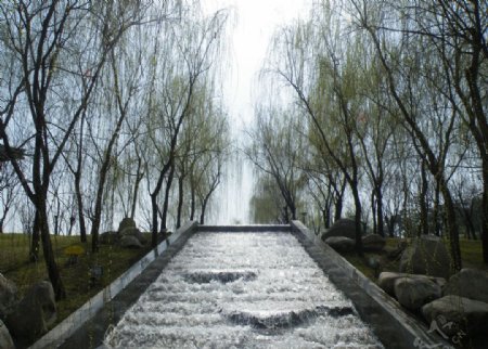 芙蓉園美景图片