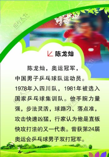 乒乓球冠军简介展板图片
