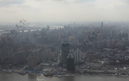 高楼林立的上海图片