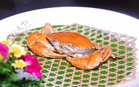 餐饮美食螃蟹图片