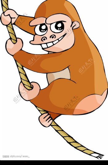 攀绳子的猴子图片