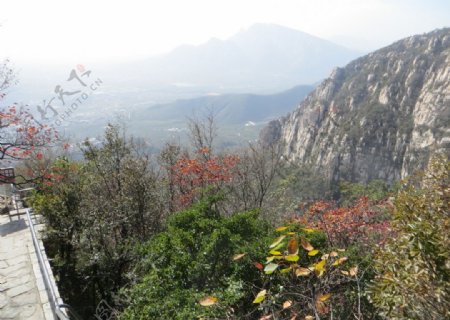 太室山秋景图片