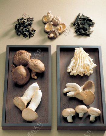菇类食物拍图片