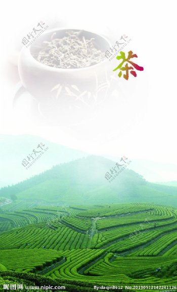 茶茶山绿茶图片