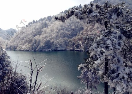 大明湖雪景图片