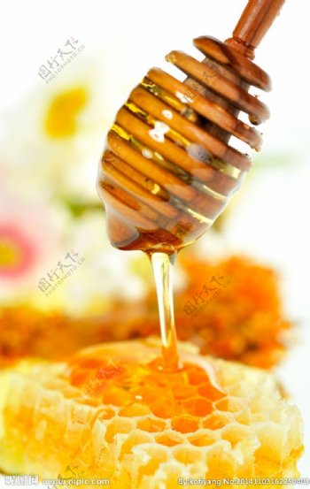 美食蜂蜜蜜糖网窝图片