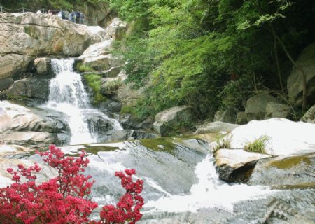 杜鹃花溪瀑布图片