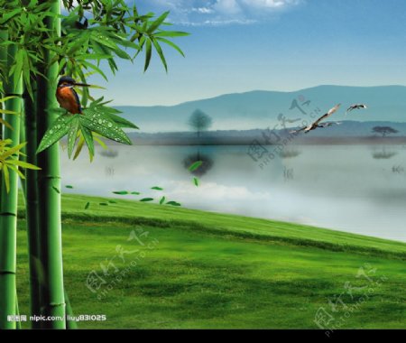 翠竹绿地湖泊图片