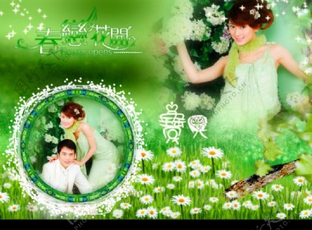 绿色婚纱图片