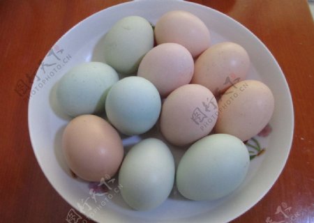 鸡蛋绿壳鸡蛋图片