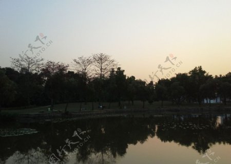 洪湖风景图片