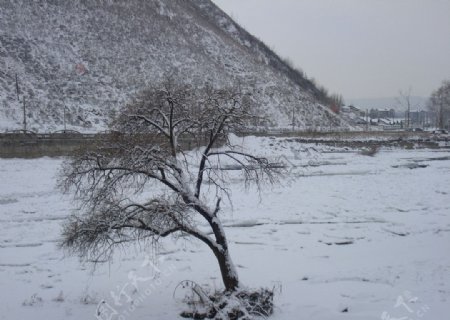 长白县雪景图片