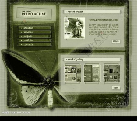 绿色蝴蝶模板图片