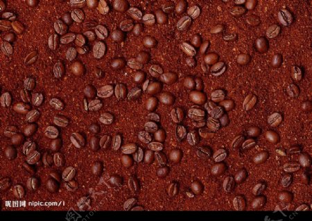 咖啡豆材料纹理图片