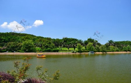 平静的湖面图片