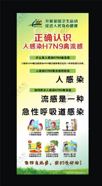 如何预防H7N9禽流图片