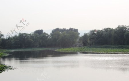 湖边风景图片