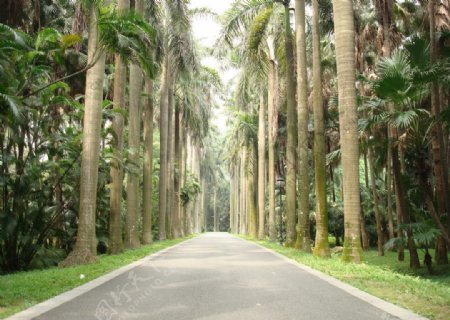 道路图片