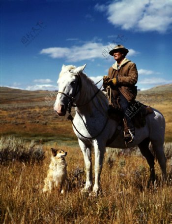 猎人骑着马和猎狗在草原上图片