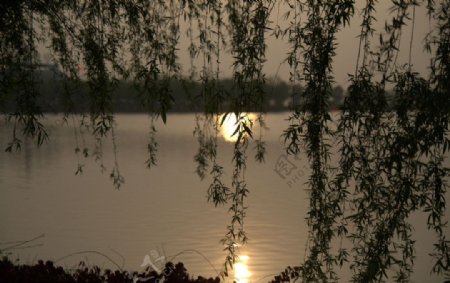 夕阳投影图片
