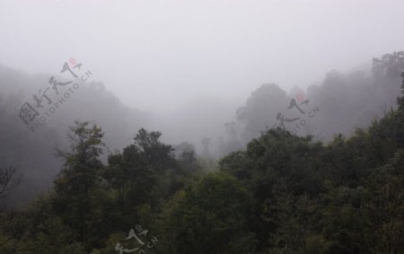 烟雾山景图片