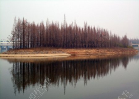 树林倒映在水里面非高清图片